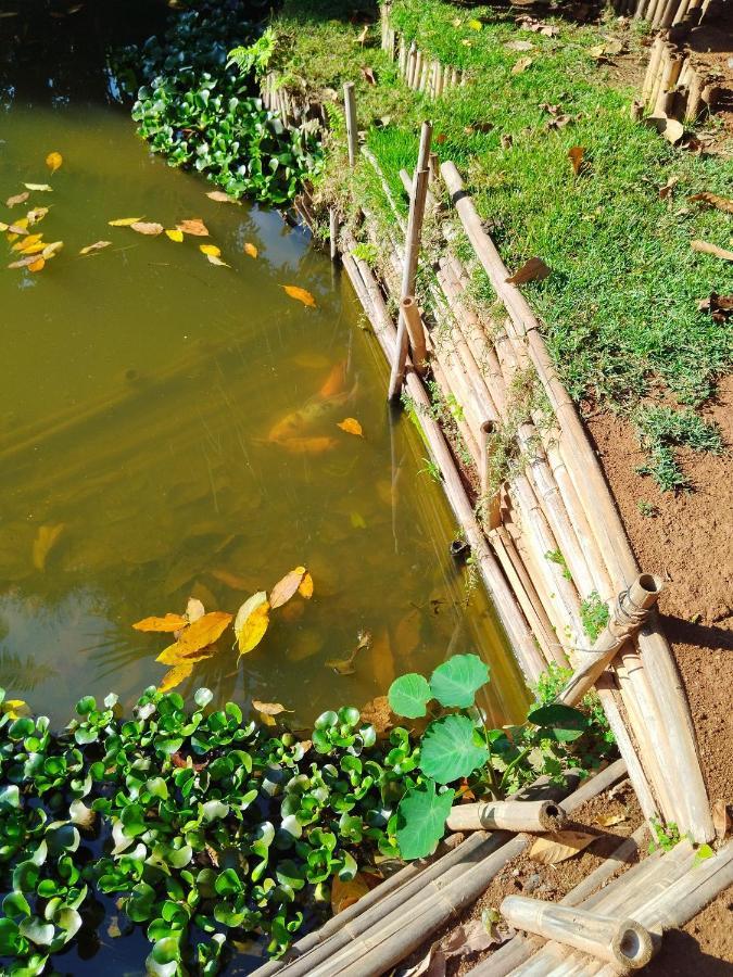 Rancho Lux Διαμέρισμα Águas de Lindóia Εξωτερικό φωτογραφία