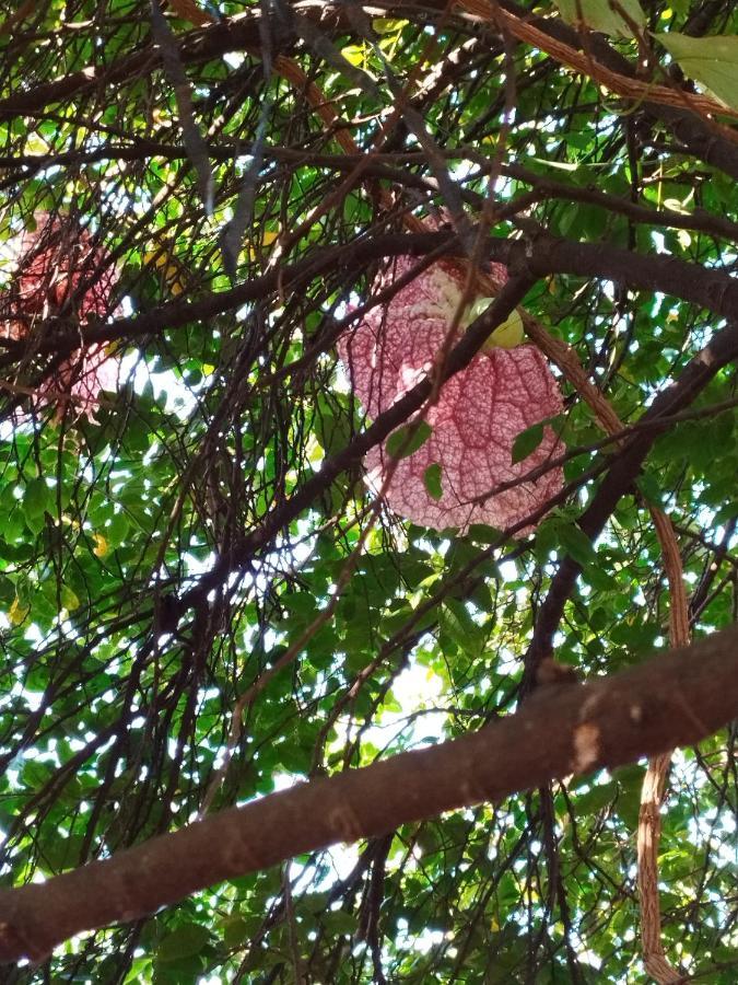 Rancho Lux Διαμέρισμα Águas de Lindóia Εξωτερικό φωτογραφία